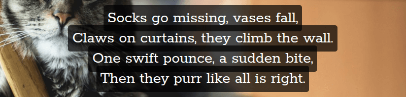 Screenshot showing four lines of text, middle aligned, each with its own semitransparent background and padding. The padding on each line leads to intersection, and where we have intersection, the semi-transparent background becomes more opaque. This is basically the same as the problem illustrated by the challenge image.