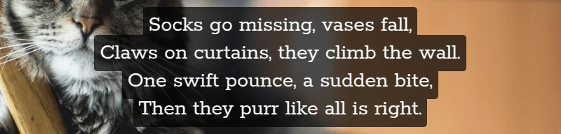 Screenshot showing four lines of text, middle aligned, each with its own semitransparent background and padding. The padding on each line leads to intersection, but now there is no more increase in alpha in the intersection areas.