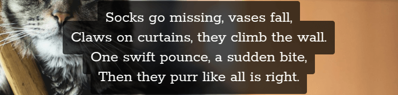 Screenshot showing four lines of text, middle aligned, each with its own semitransparent background and padding. The padding on each line leads to intersection, not just between padding areas on adjacent lines, but also between padding and text, but now there is no more increase in alpha in the padding intersection areas and all the background is always behind all the text.