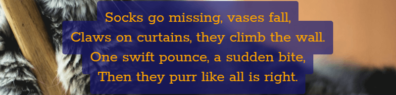 Screenshot showing four lines of golden text, middle aligned, each with its own semitransparent dark blue background and padding. The padding on each line leads to intersection, not just between padding areas on adjacent lines, but also between padding and text, but there is no increase in alpha in the padding intersection areas and all the background is always behind all the text.