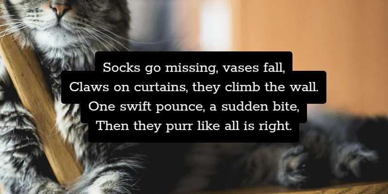 Screenshot showing what we get after the first  primitive: just the four lines of white text on black packground.