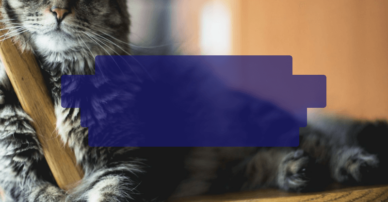 Screenshot showing us the result of the latest compositing step: the background RGBA layer at the intersection with the initial opaque shape of the  background area.