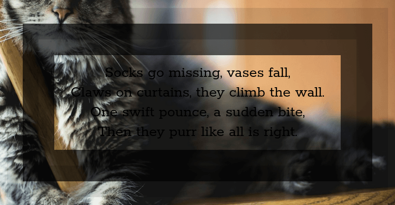 Screenshot showing the Chrome result when extracting the green channel as an alpha mask from the initial opaque portion of the input, the one having white text (all three RGB channels maxed out) on black background (all three RGB channels zeroed). This is not just the white text in this case, but also the frames as the filter input had non-zero green channel values there and unlike Chrome, Firefox doesn't seem to have discarded their RGB values when zeroing the frame alphas at the first step extracting just the fully opaque portion.