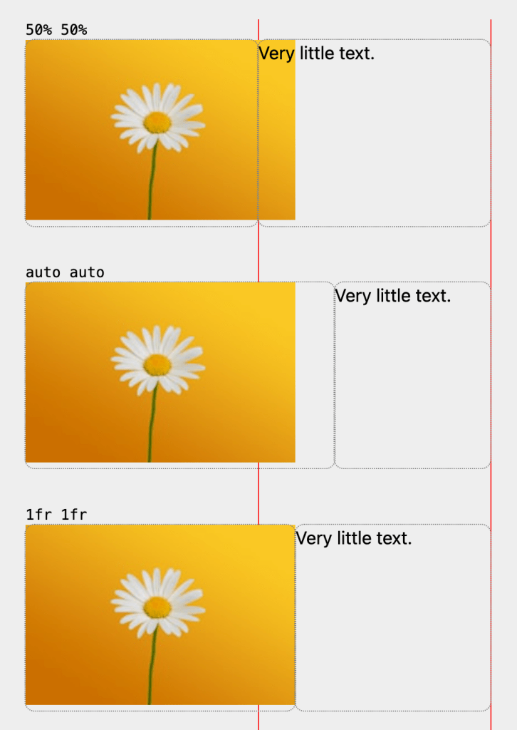 Screenshot comparing three grid layouts: '50% 50%', 'auto auto', and '1fr 1fr', each displaying an image of a daisy with minimal text on the right.
